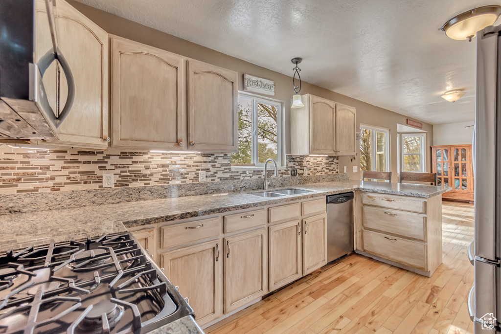 Kitchen featuring light brown cabinetry, a healthy amount of sunlight, and stainless steel appliances