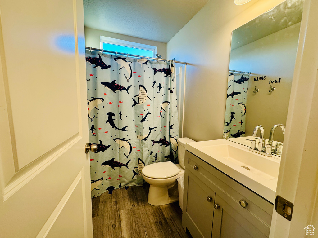 Bathroom with vanity, toilet, wood-type flooring, and a shower with shower curtain