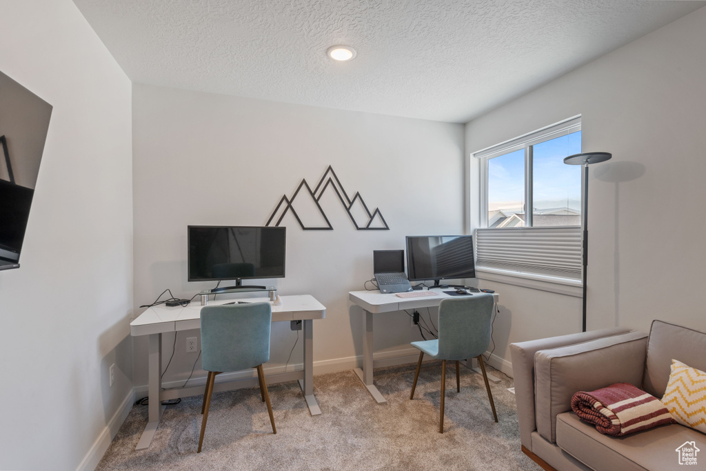 Office area featuring light carpet and a textured ceiling