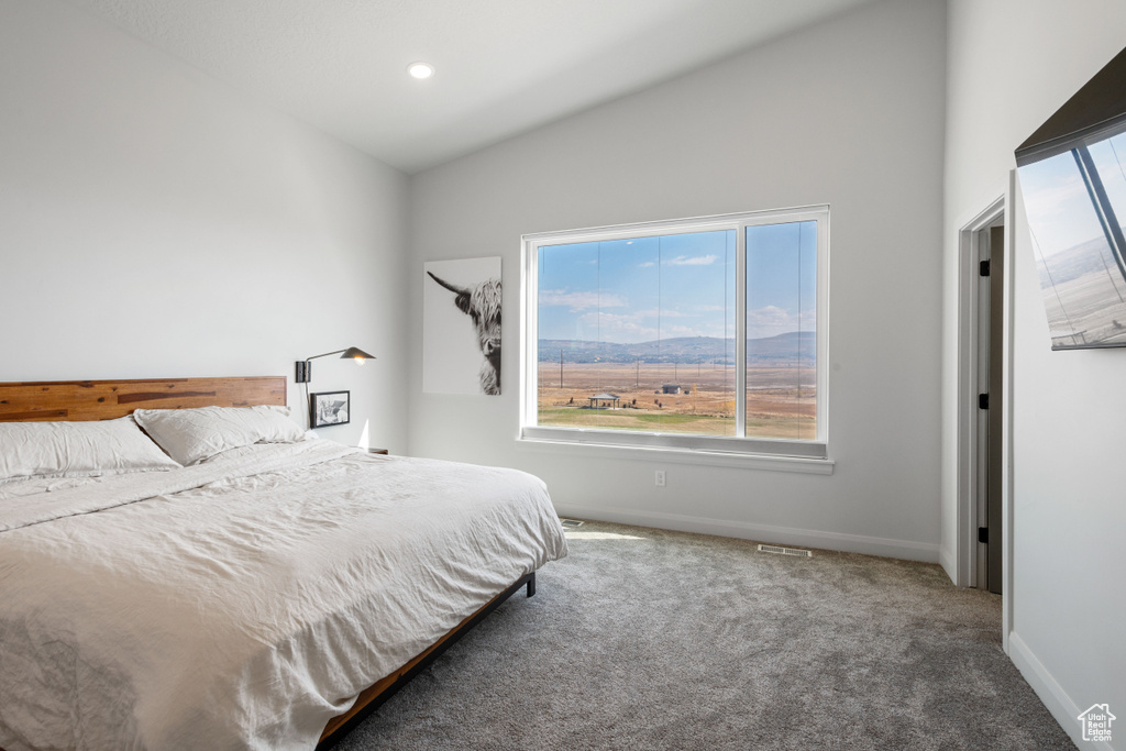 Bedroom with carpet floors and vaulted ceiling