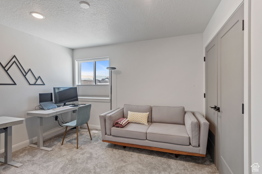 Office space with light carpet and a textured ceiling