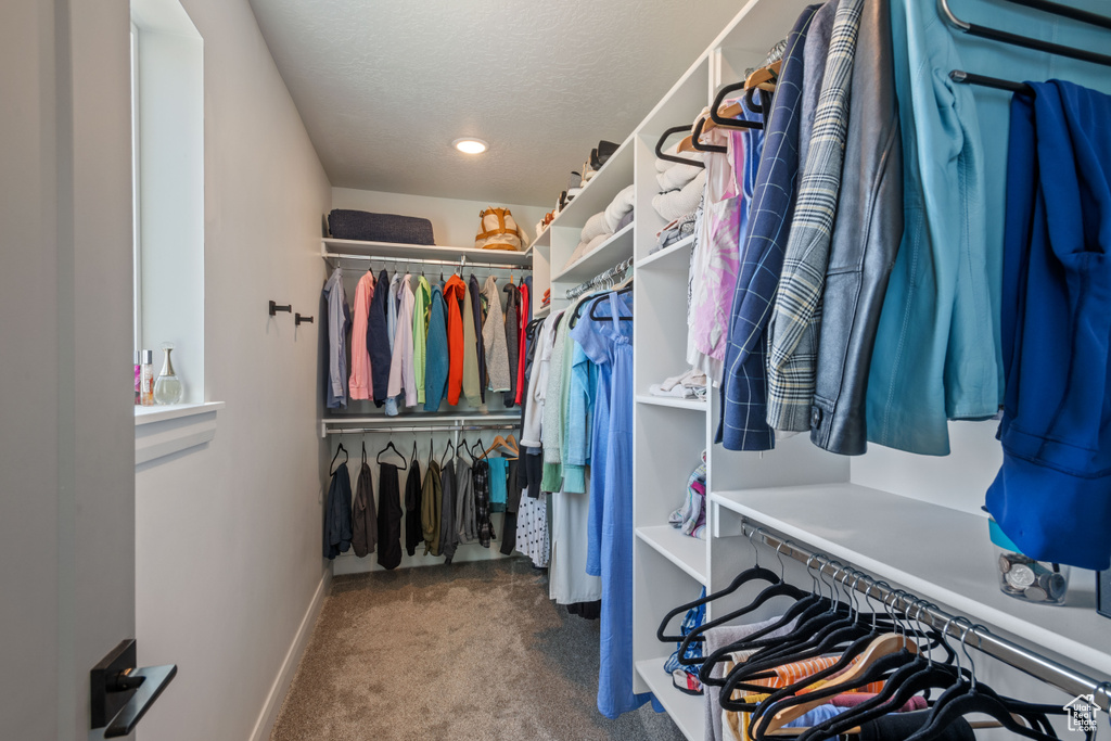 Spacious closet featuring carpet floors