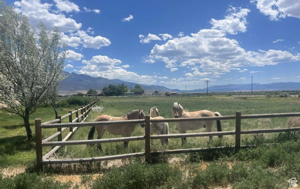 1350 E 600 S Richfield, UT 84701
