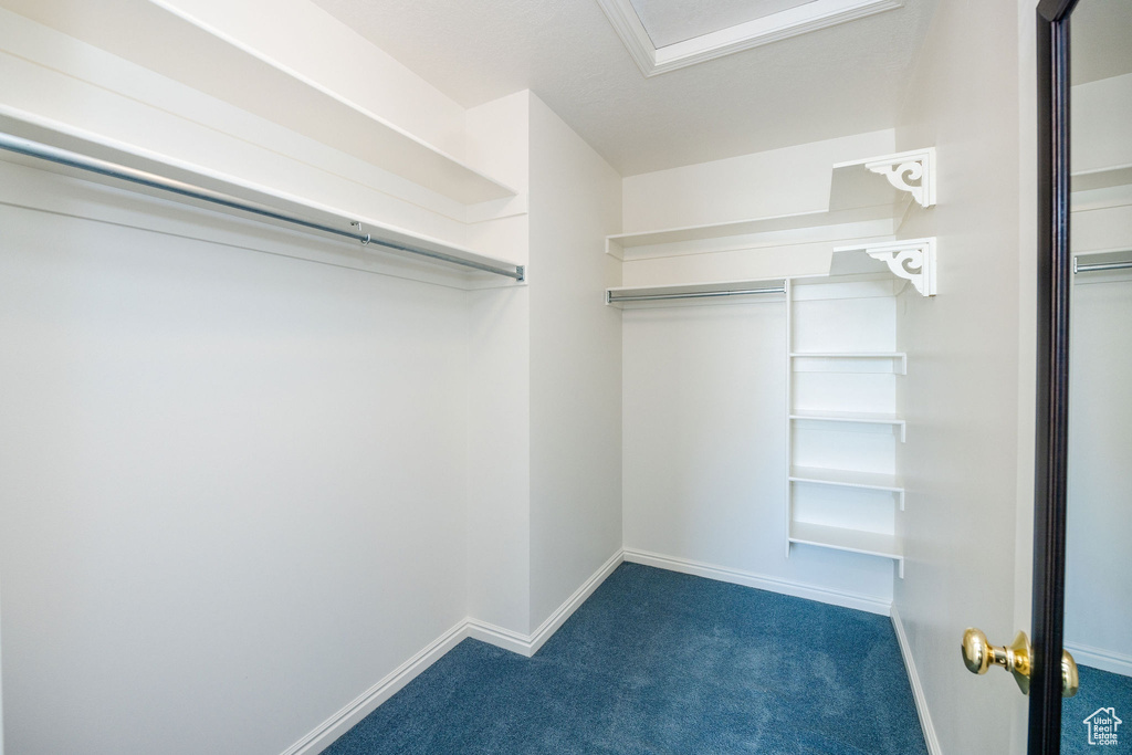 Walk in closet featuring dark carpet