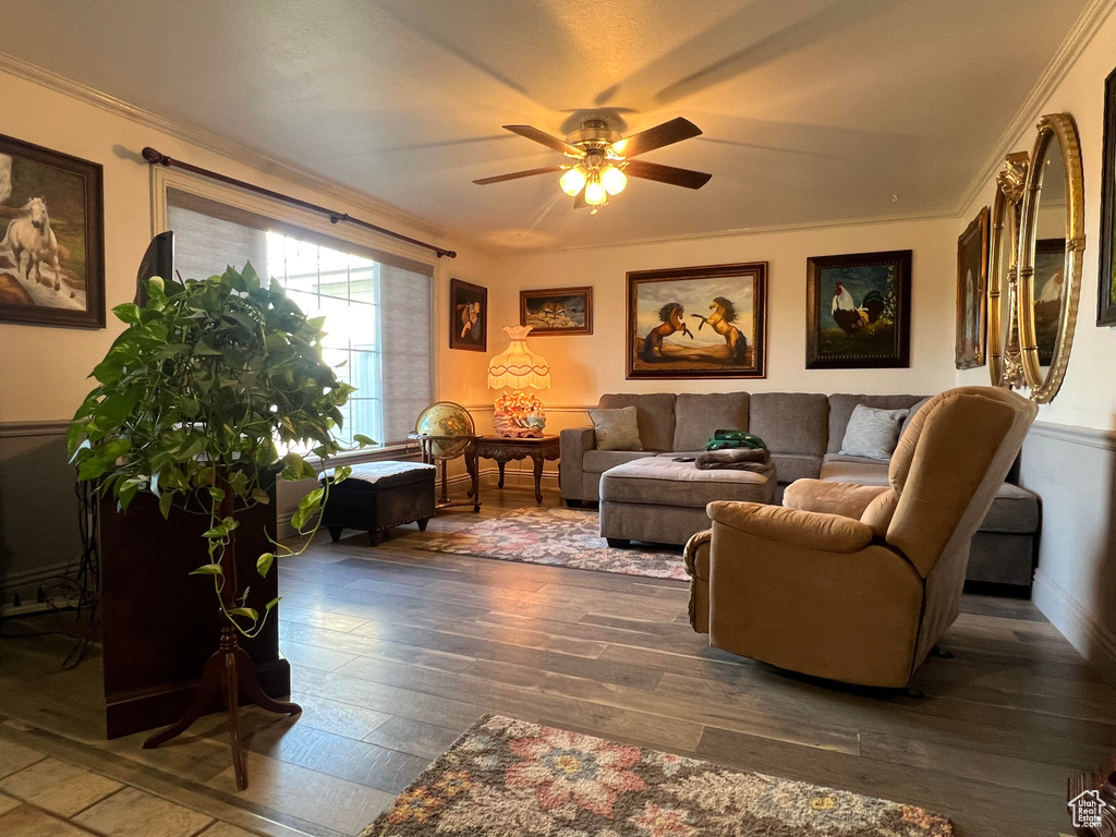 Living room featuring dark wood-type flooring, crown molding, and ceiling fan