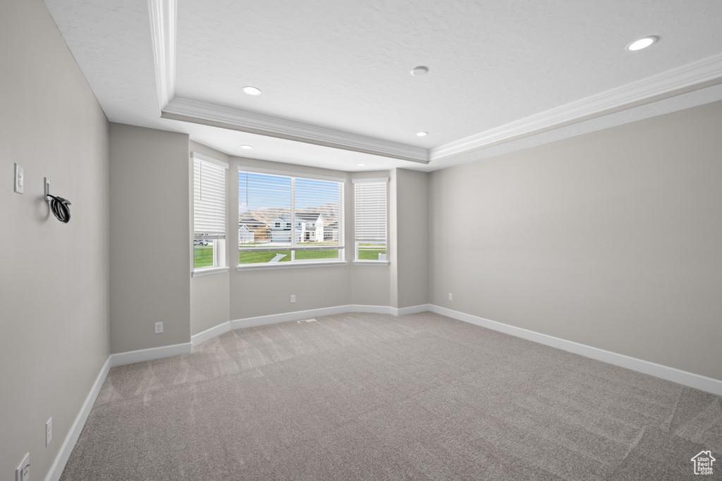 Spare room with light carpet and a tray ceiling