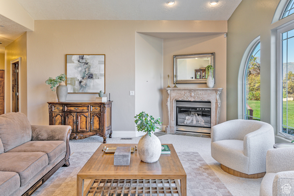 Carpeted living room featuring a healthy amount of sunlight, a fireplace, and a textured ceiling