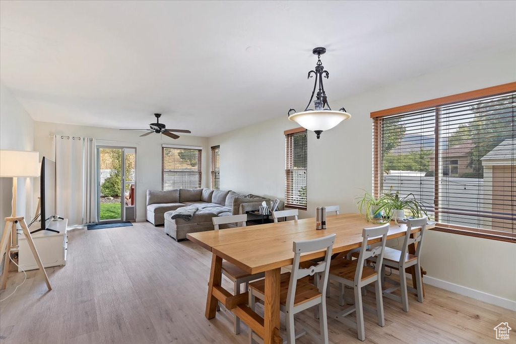 Dining room with ceiling fan and light hardwood / wood-style flooring