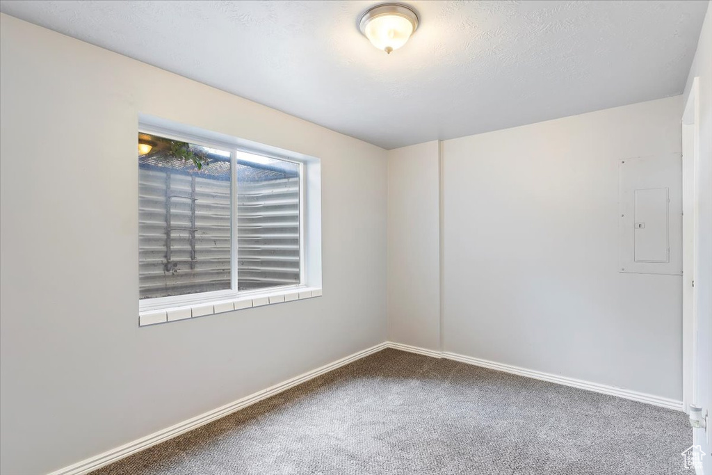 Spare room featuring electric panel and carpet floors