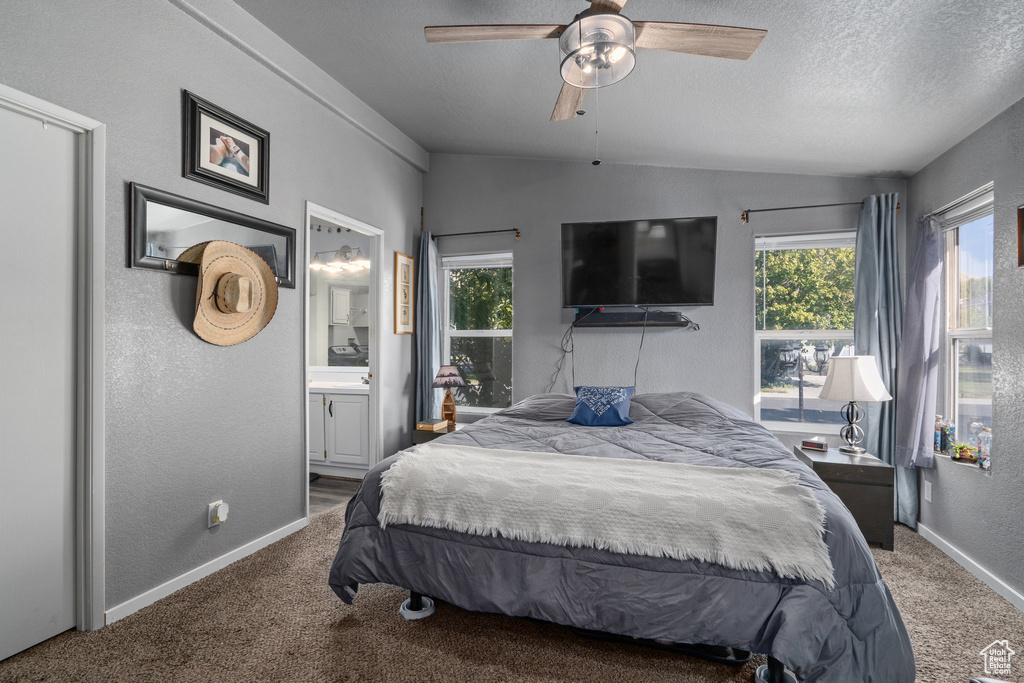 Bedroom with ceiling fan, carpet, ensuite bathroom, and multiple windows