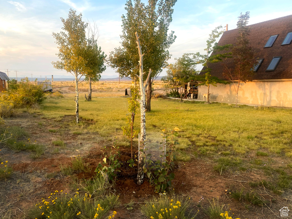 View of yard with a rural view