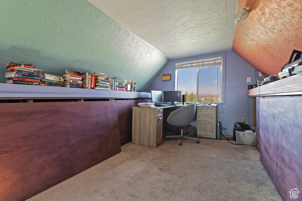 Office area featuring a textured ceiling and light carpet