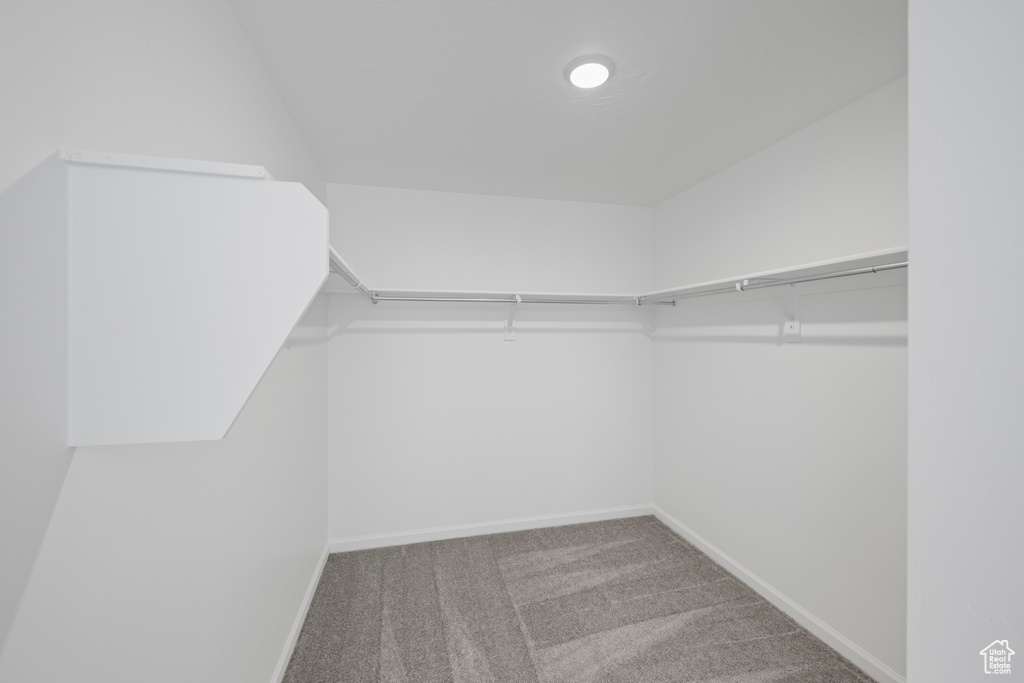 Spacious closet with carpet flooring and lofted ceiling