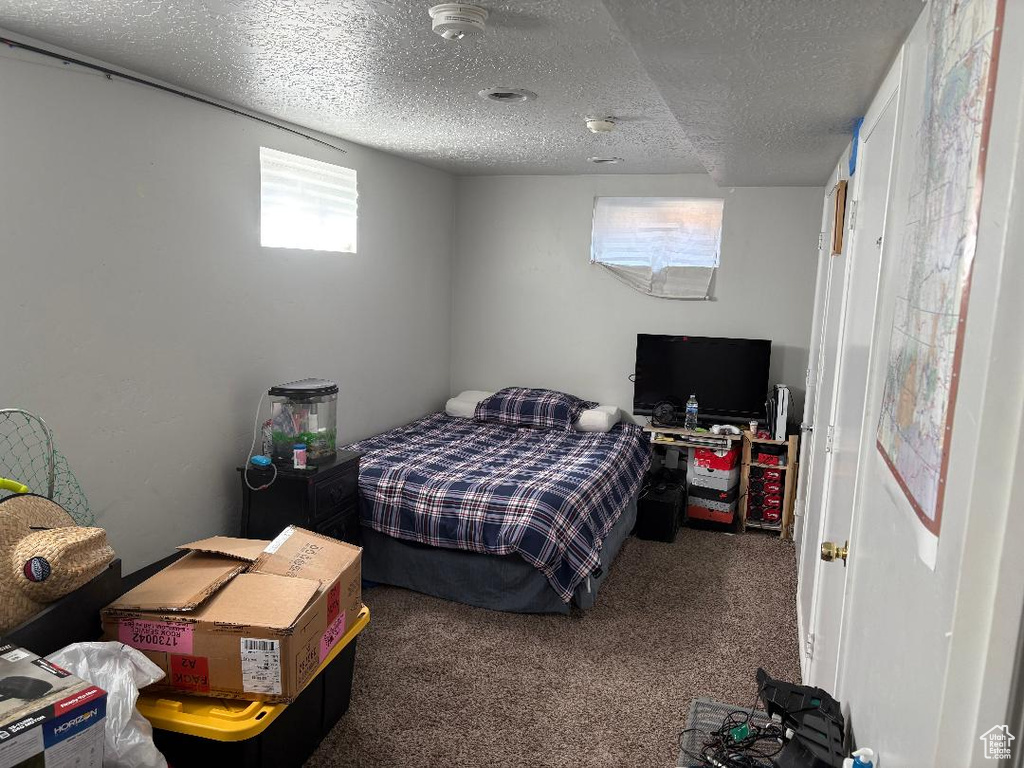 Carpeted bedroom featuring a textured ceiling