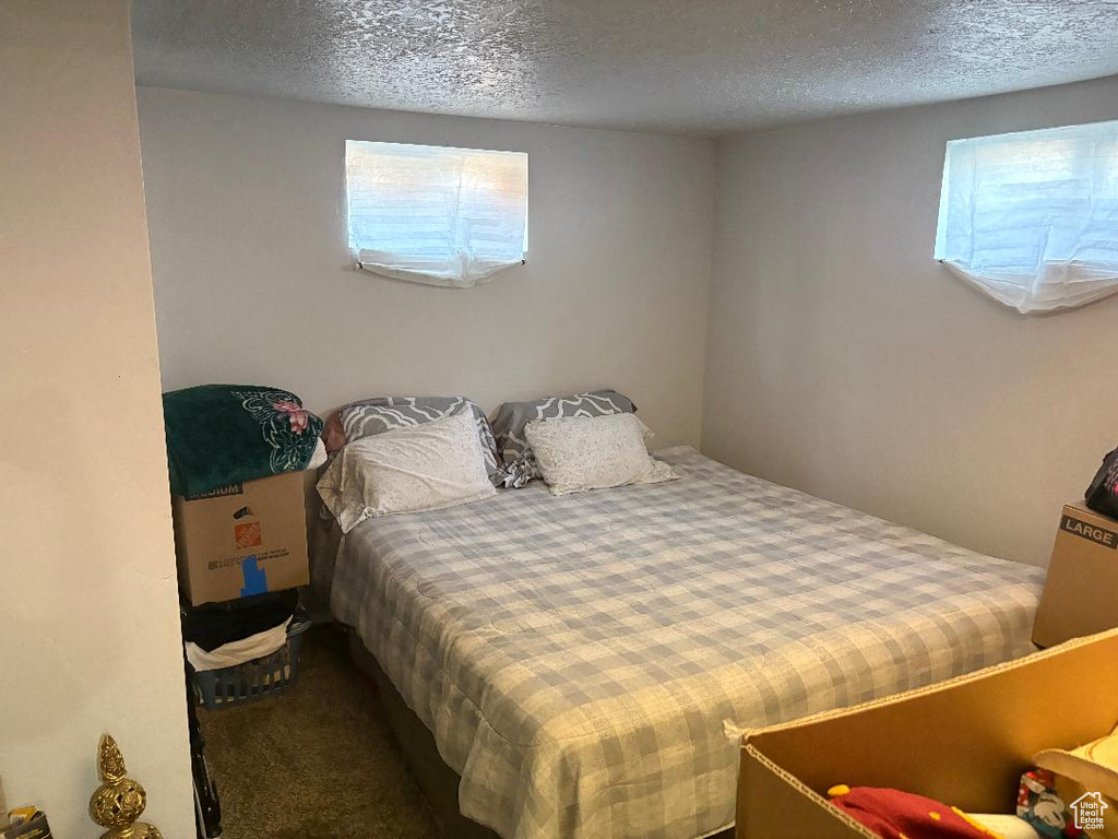 Carpeted bedroom featuring multiple windows and a textured ceiling