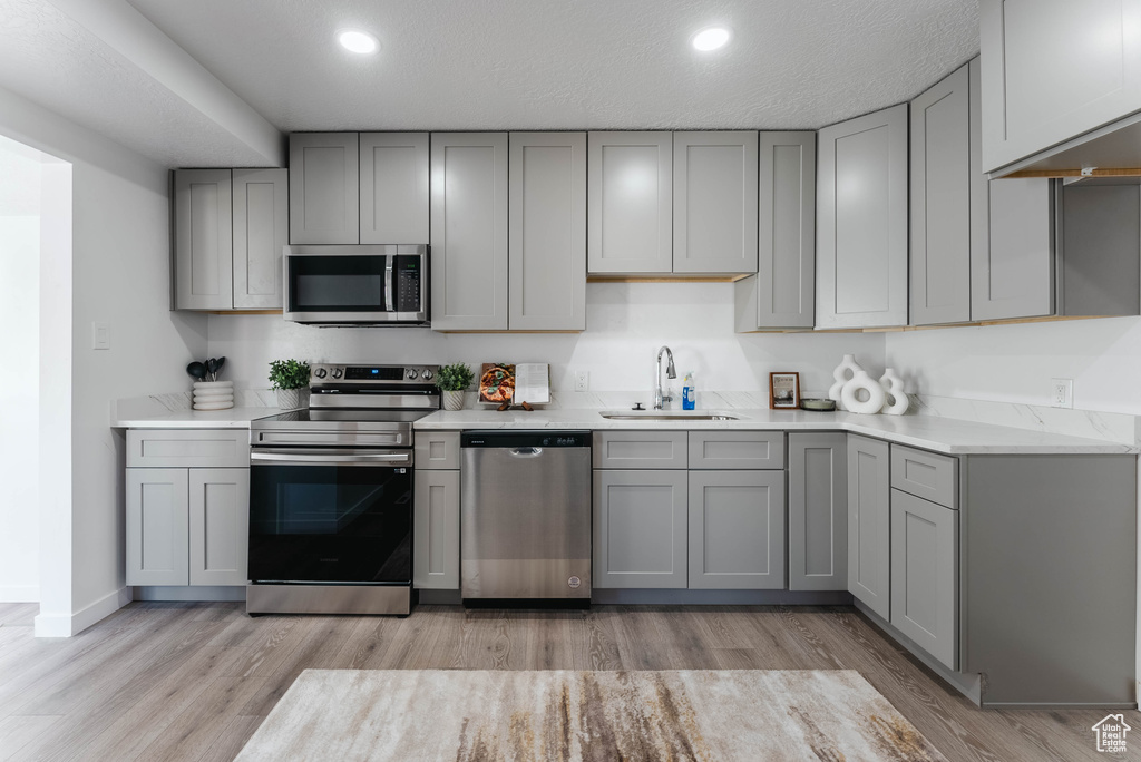 Kitchen with light hardwood / wood-style floors, gray cabinets, sink, and stainless steel appliances