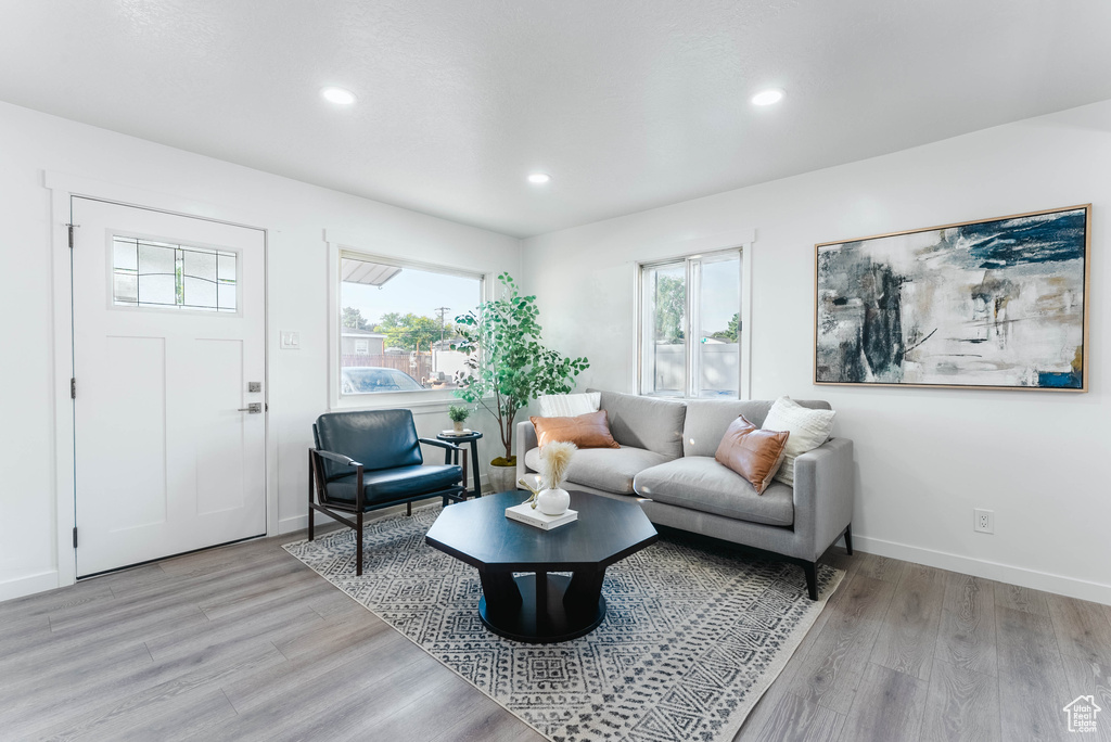 Living room featuring light wood-type flooring