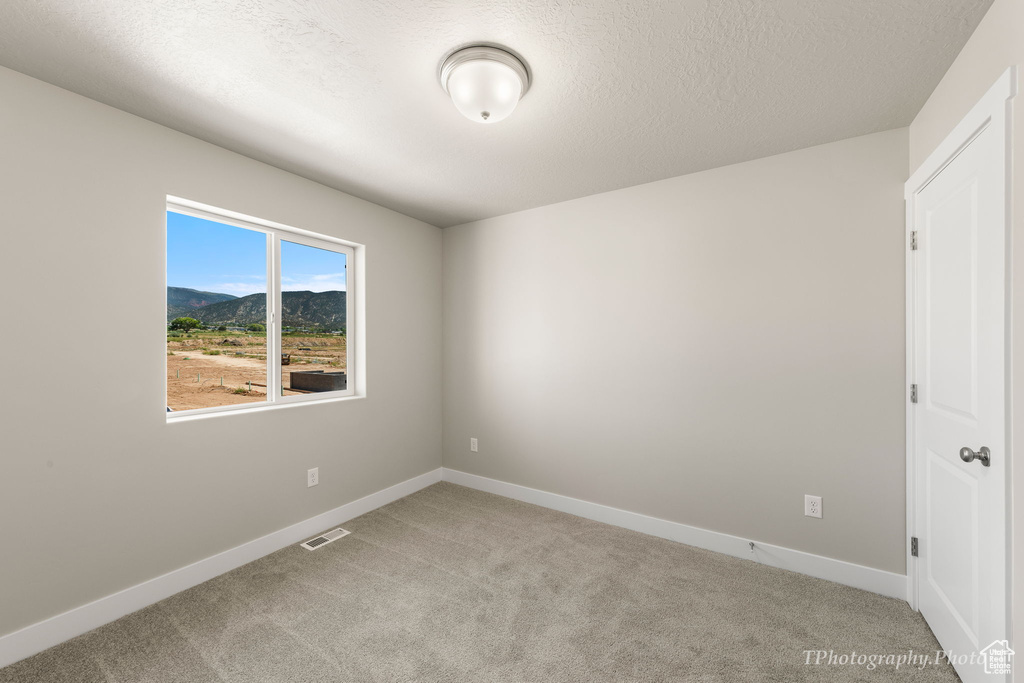 Carpeted empty room with a mountain view and a textured ceiling