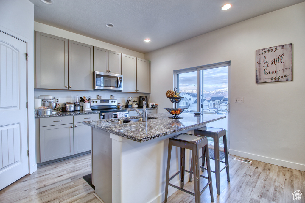 Kitchen with an island with sink, light wood-type flooring, dark stone counters, appliances with stainless steel finishes, and gray cabinets