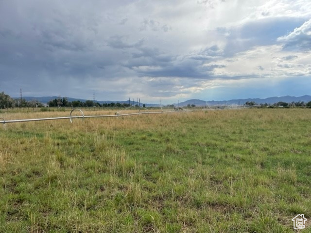 View of yard with a mountain view and a rural view
