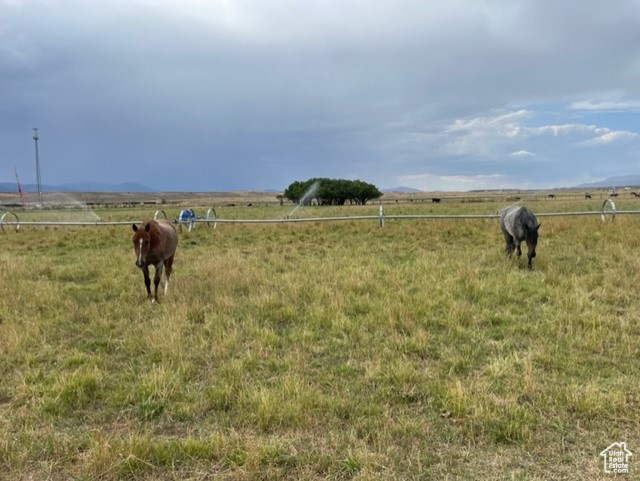 View of yard featuring a rural view