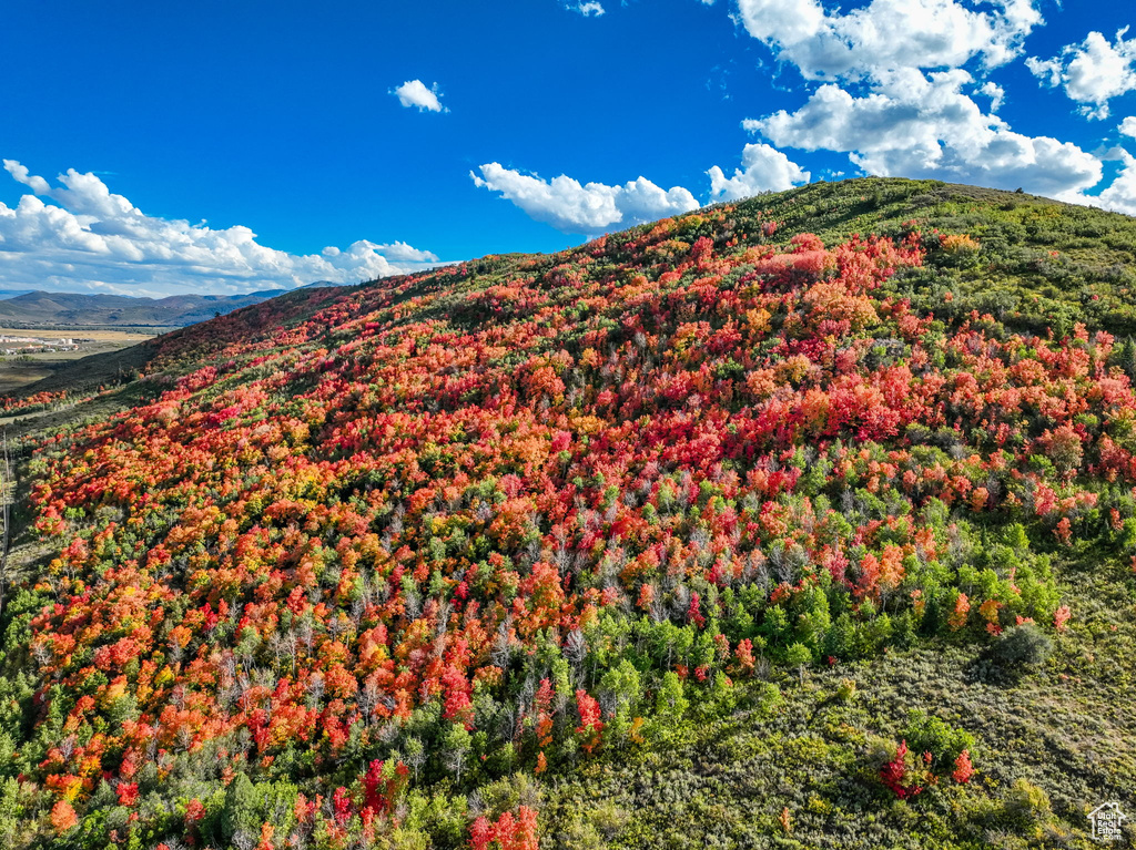 Property view of mountains