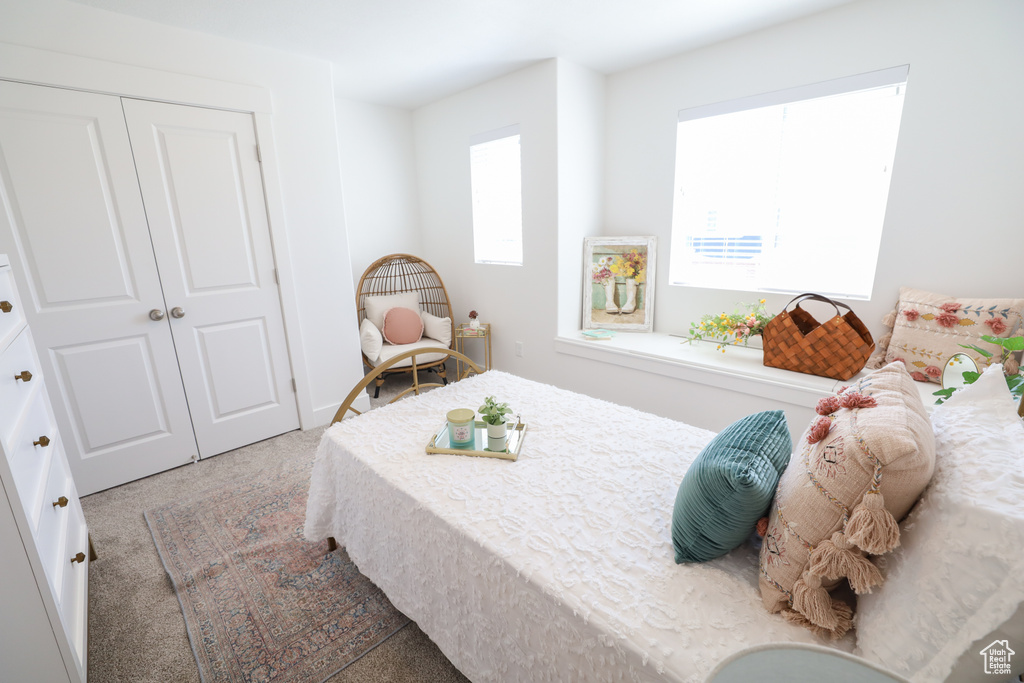 Bedroom with a closet, carpet, and multiple windows