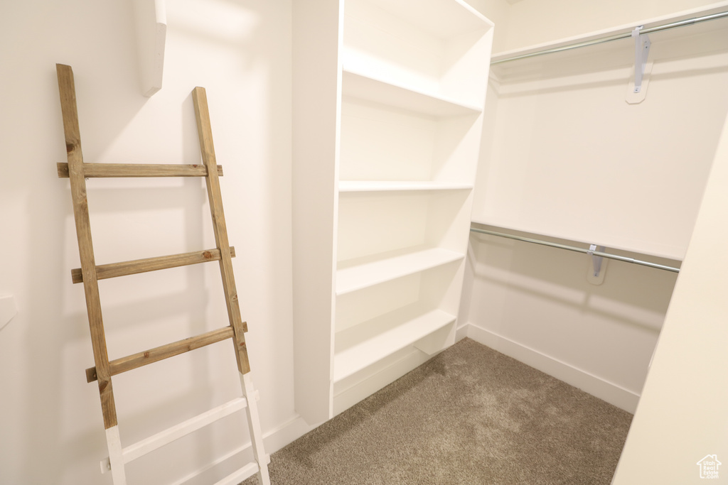 Spacious closet featuring carpet