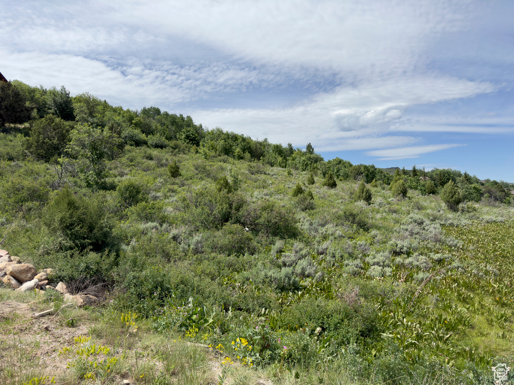 View of landscape