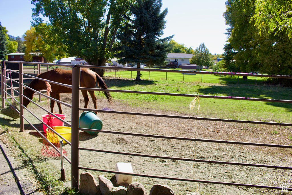 View of horse barn featuring a rural view