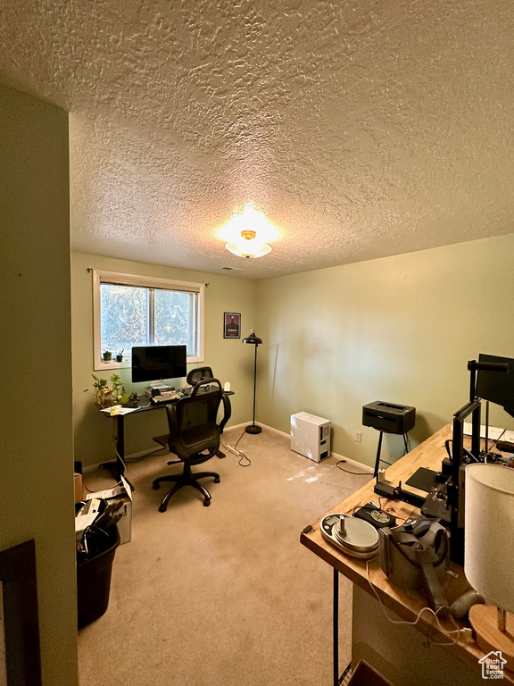 Office area featuring light carpet and a textured ceiling