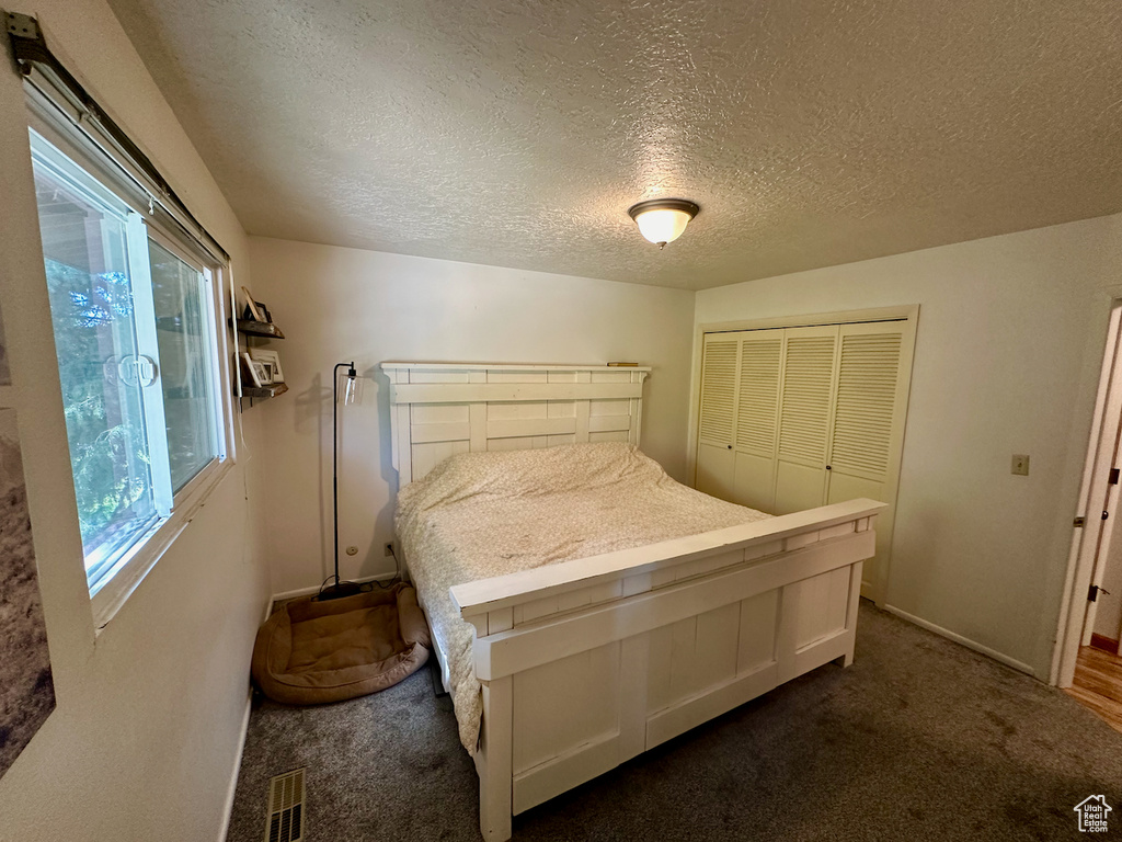 Carpeted bedroom featuring a closet, multiple windows, and a textured ceiling