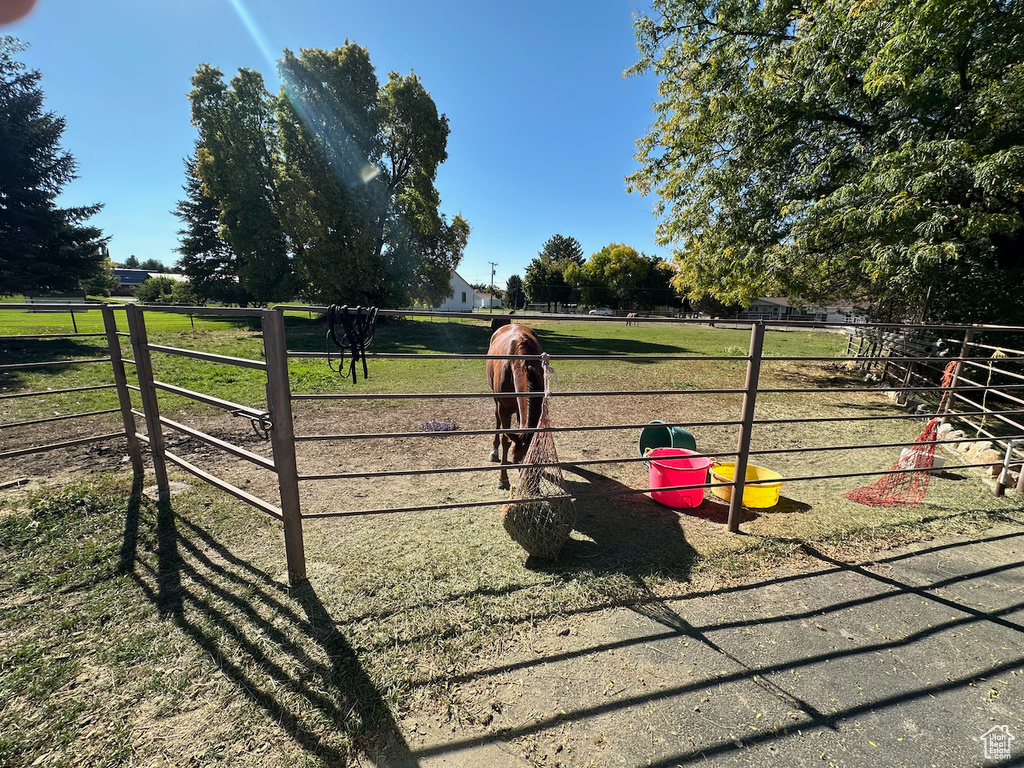 View of gate with a yard