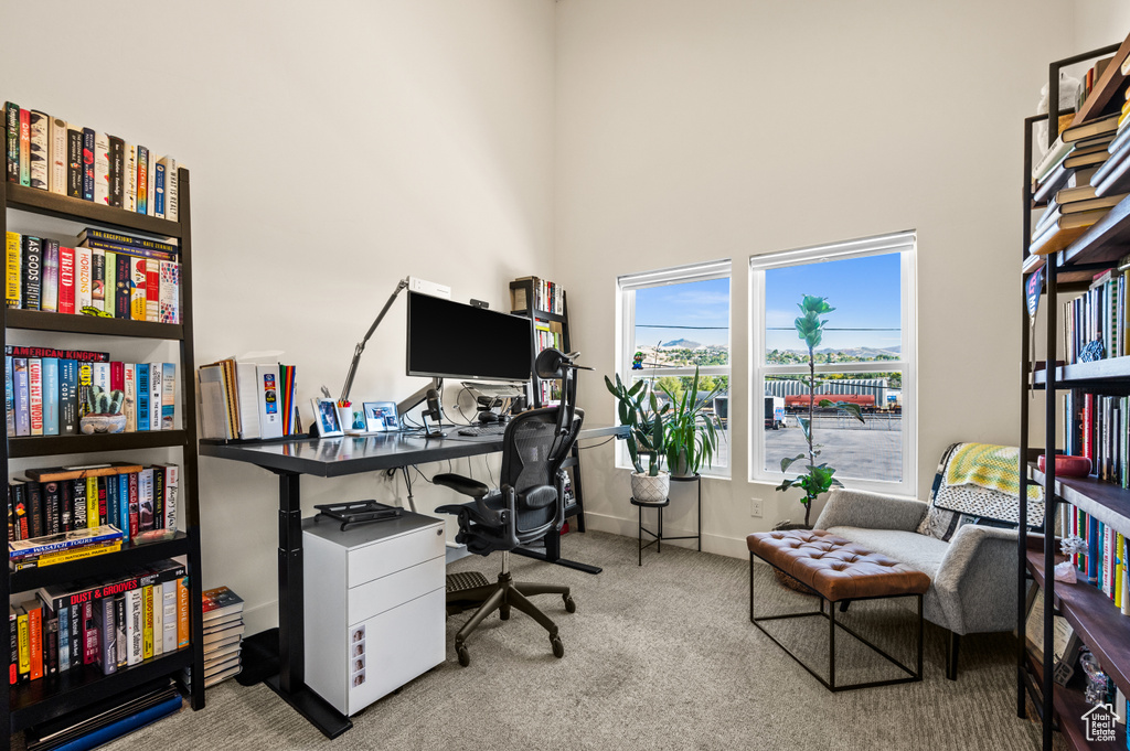 Office featuring a towering ceiling and light colored carpet