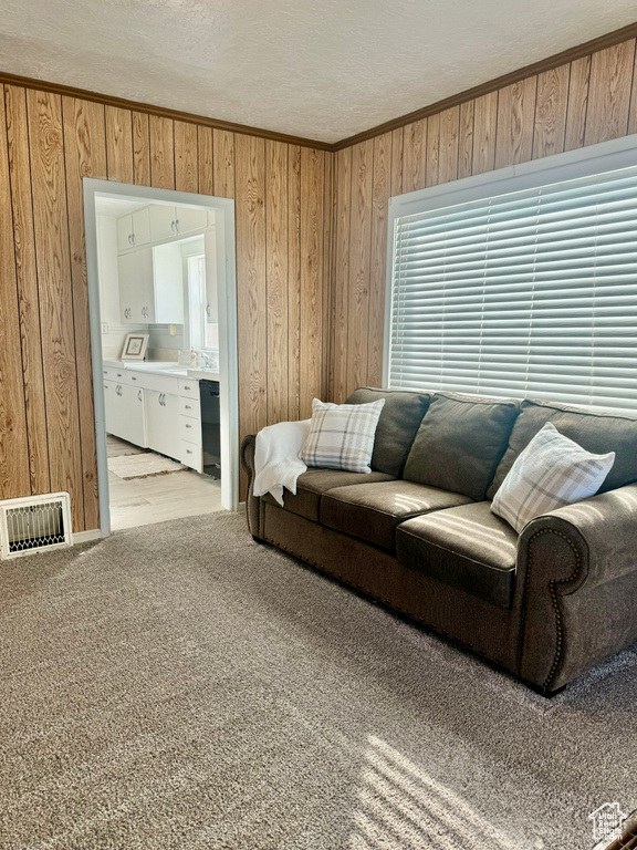 Living room featuring crown molding, wooden walls, and a textured ceiling