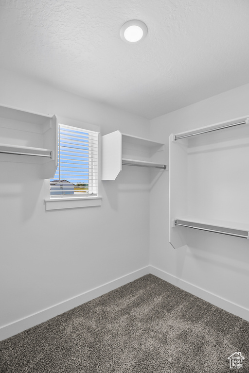 Walk in closet with carpet floors