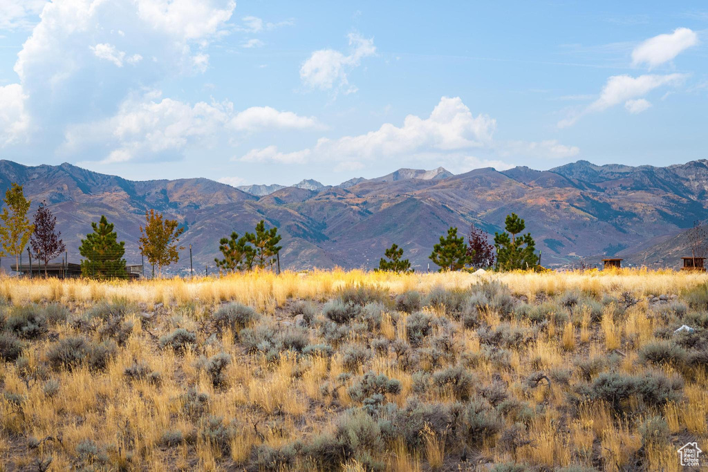 Property view of mountains