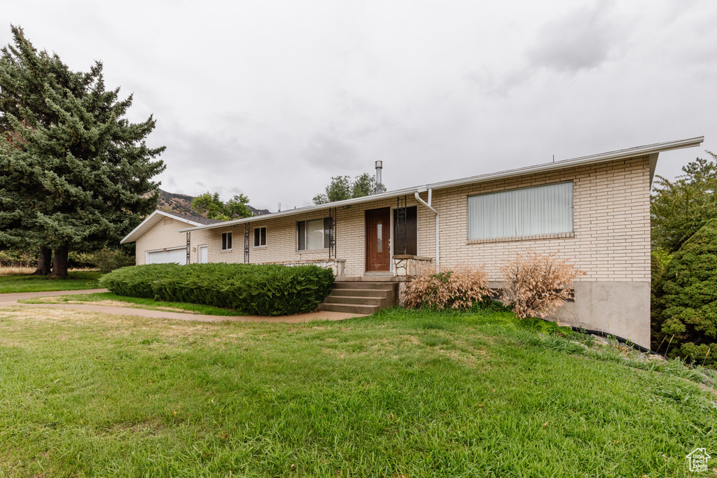 Ranch-style house featuring a front lawn