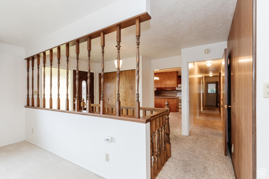 Interior space featuring carpet and a textured ceiling