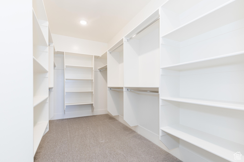 Walk in closet with light colored carpet