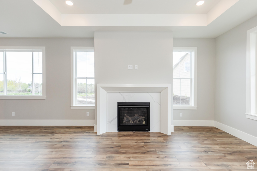 Unfurnished living room with a premium fireplace, light hardwood / wood-style floors, and a raised ceiling