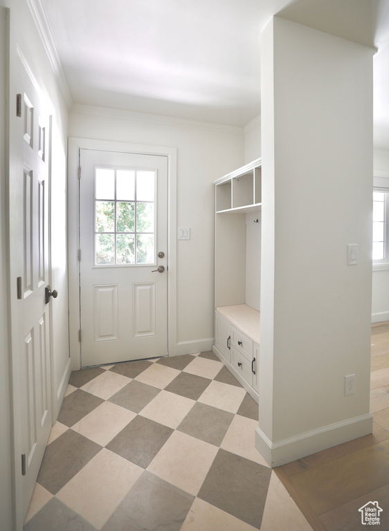 Mudroom with ornamental molding and a healthy amount of sunlight