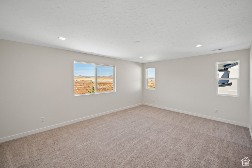 View of carpeted spare room