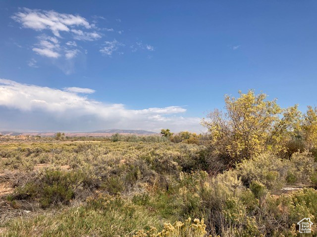 View of local wilderness