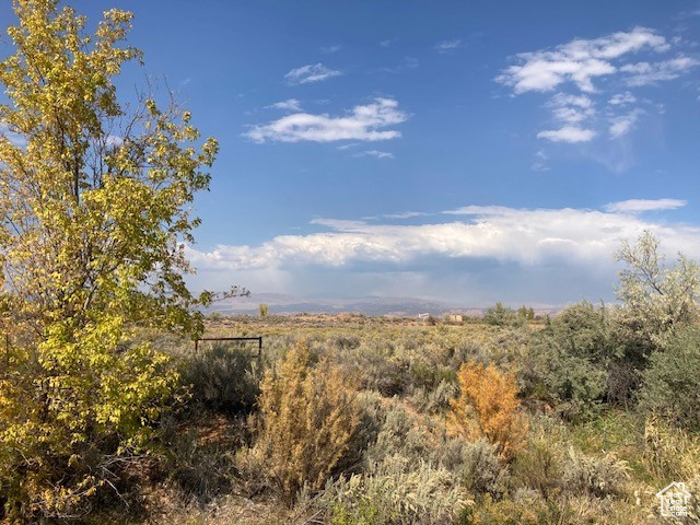 View of local wilderness