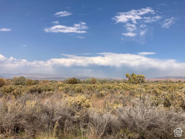 View of nature with a rural view