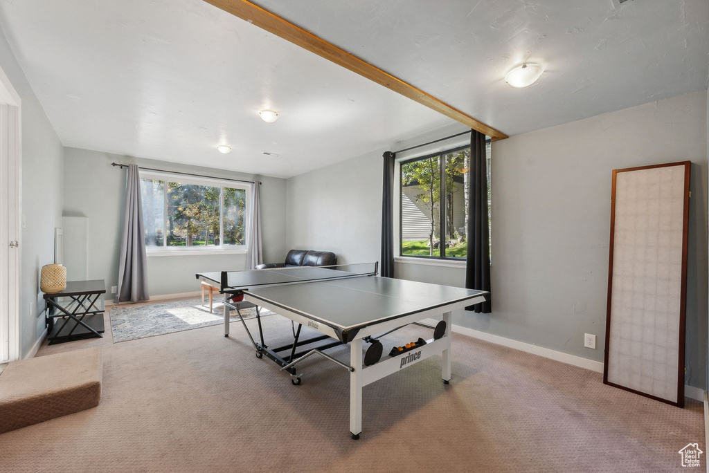 Recreation room featuring light colored carpet and plenty of natural light