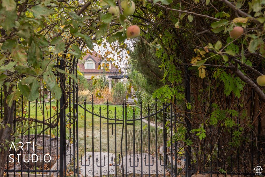 View of gate