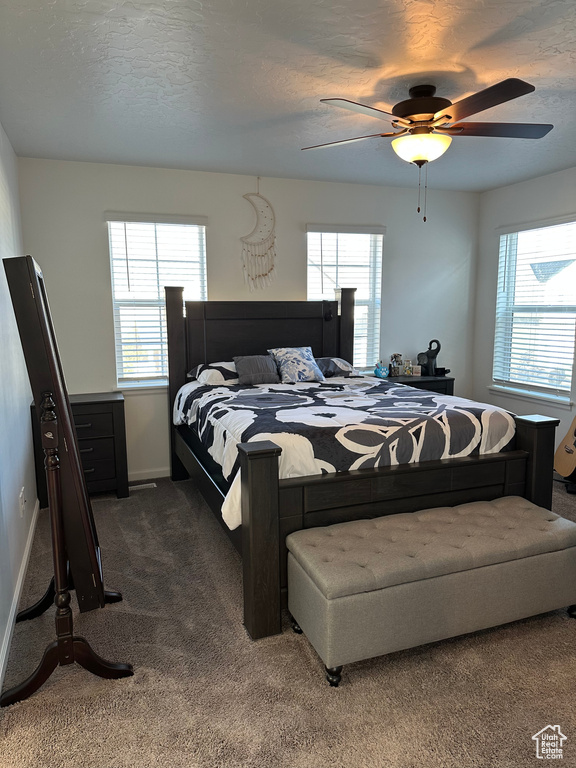 271 N 1350 W Pleasant Grove, UT 84062
