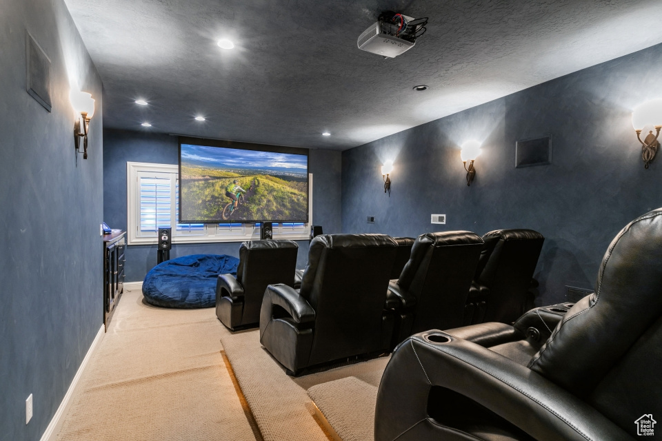 View of carpeted home theater room